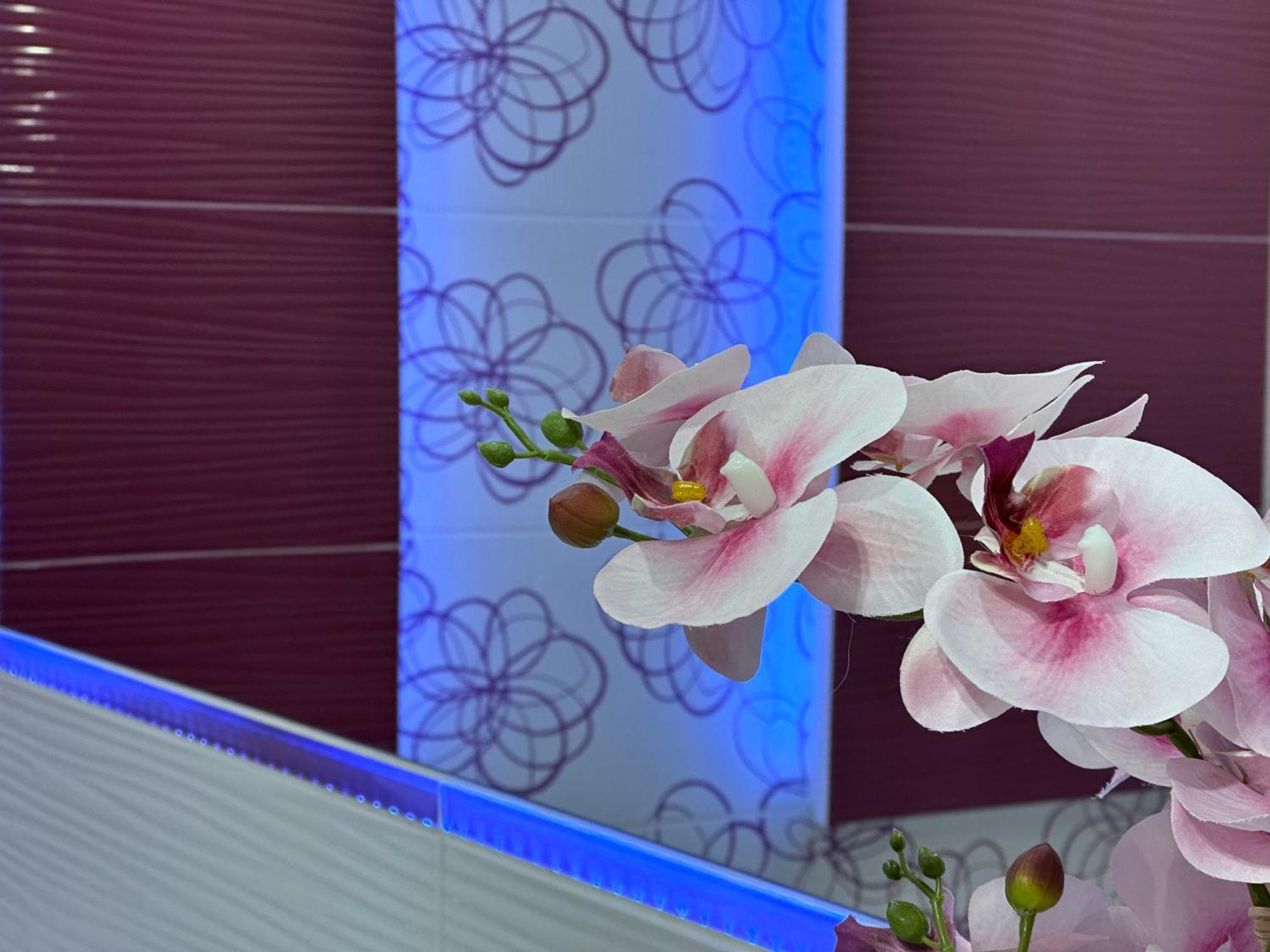 פז'מיסל Large, Luxury Condo With Sauna מראה חיצוני תמונה